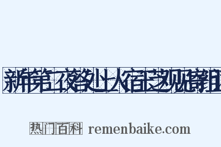 新年第二夜答处上人宿玉芝观见寄组词是什么意思的图片